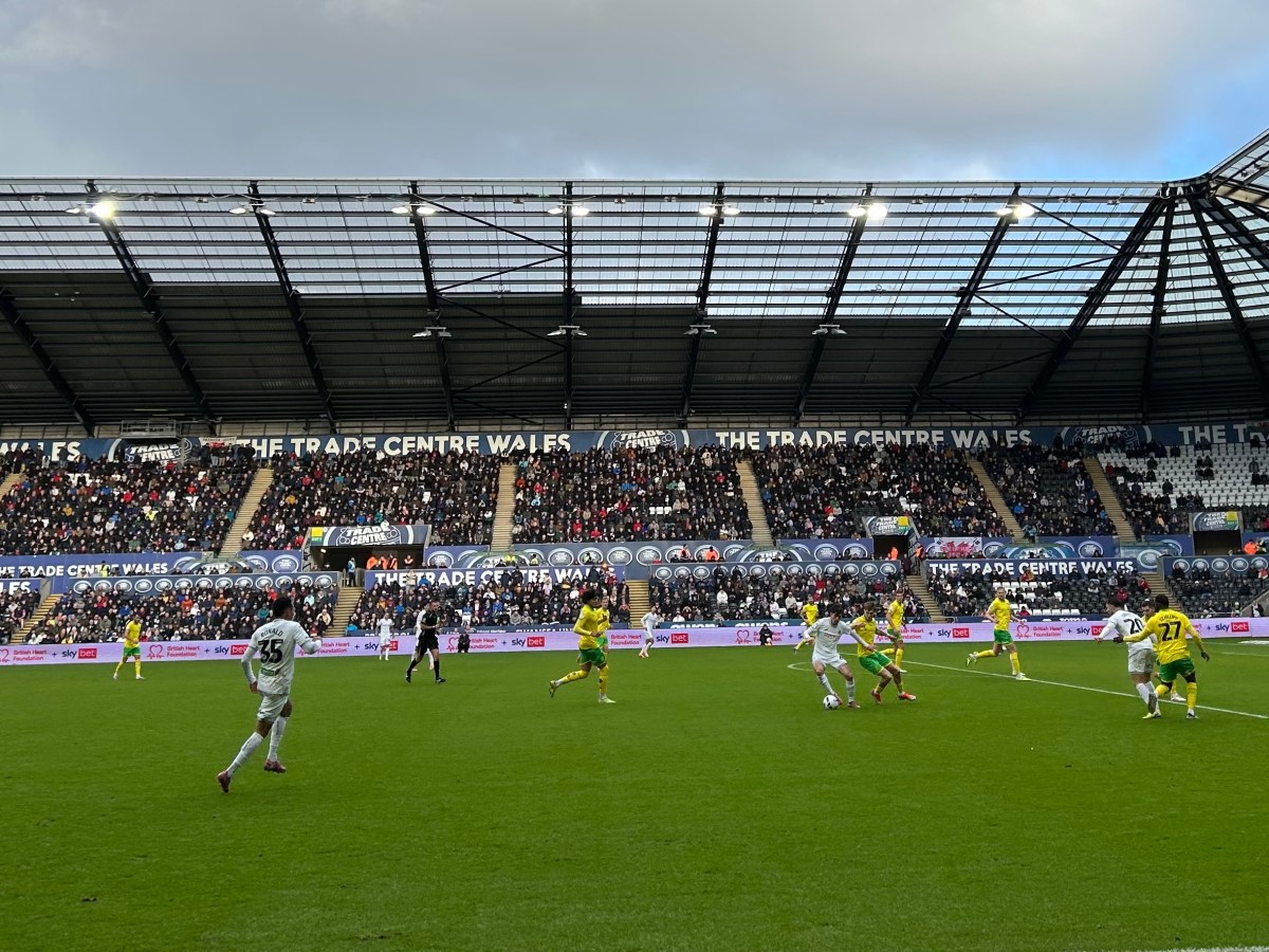 Vipotnik brings the smile back to&nbsp;Swansea