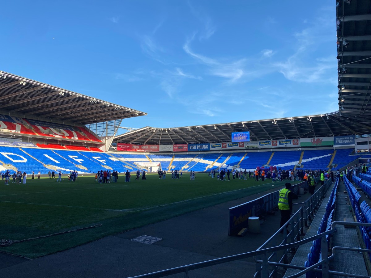 Cardiff are back in the Championship&nbsp;!